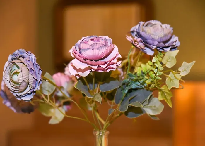 بيت للعطل O Sole Mio Myrties